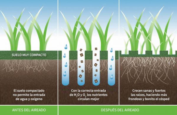 Aireado de césped – El Hayedo Jardinería y Paisajismo